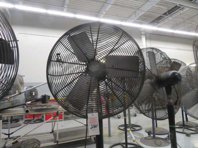 Fan - MISCELLANEOUS