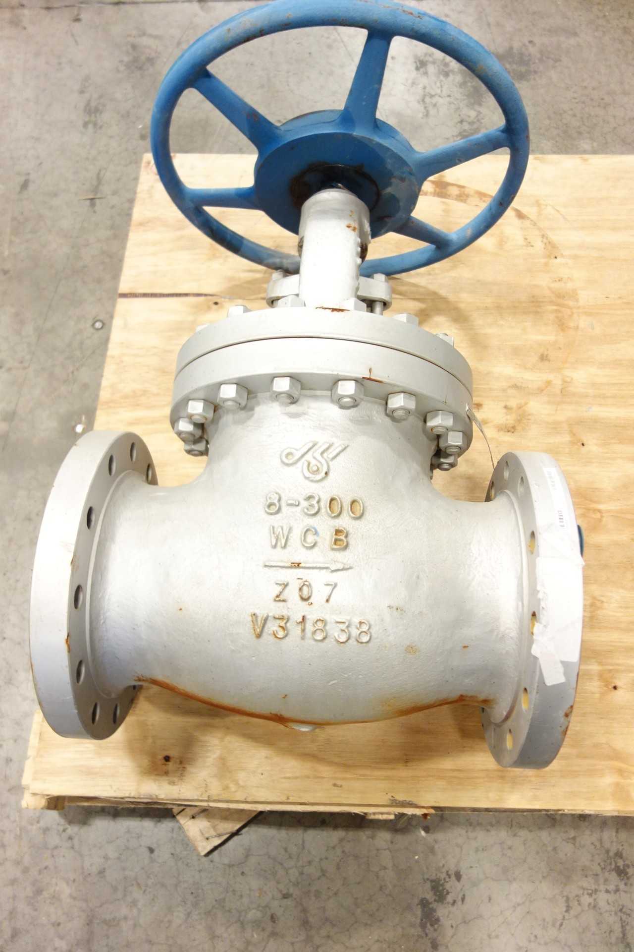 LOT OF 2 DSI GLOBE VALVES - GLOBE VALVE