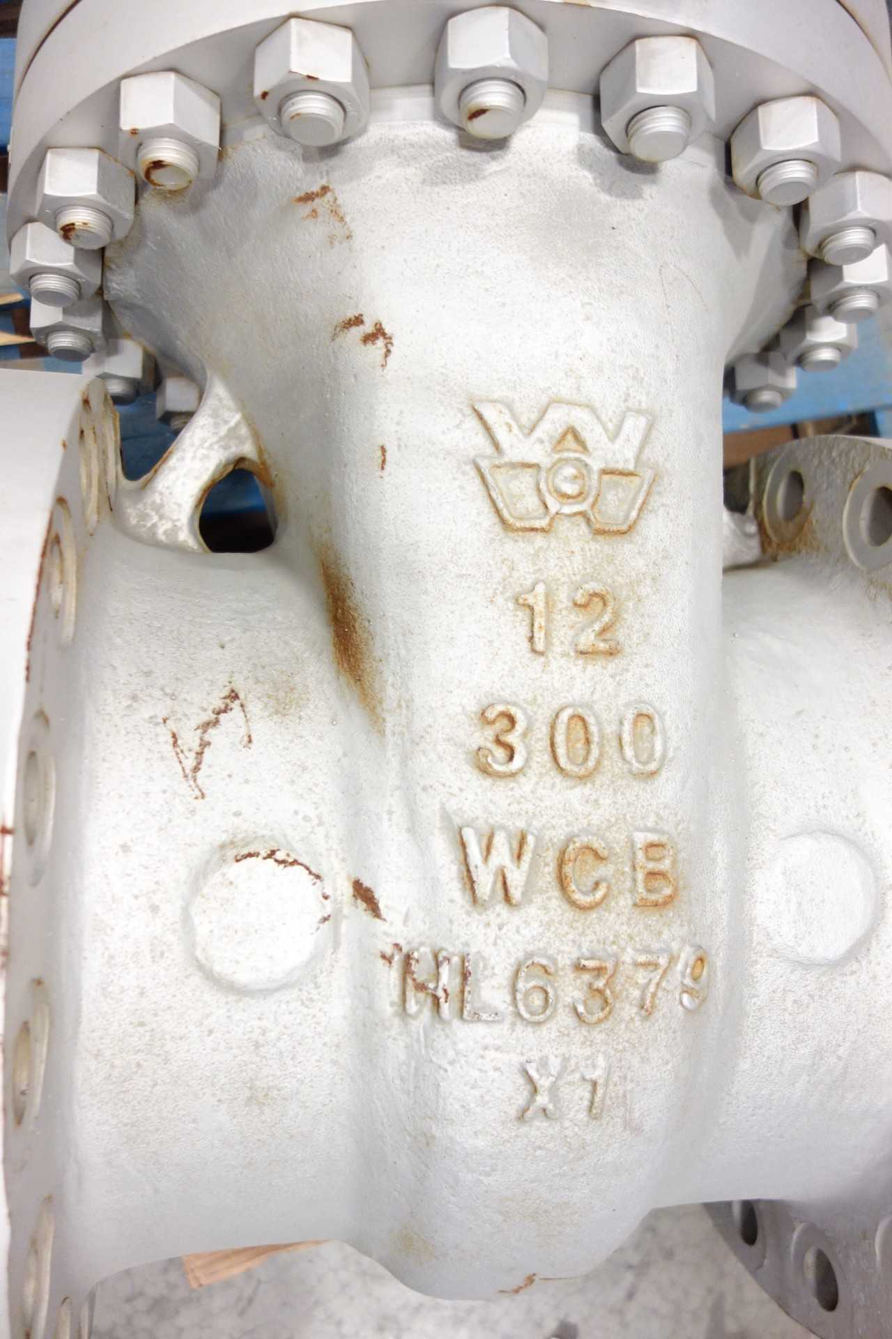 WILLIAMS 12" GATE VALVE - KNIFE GATE VALVE