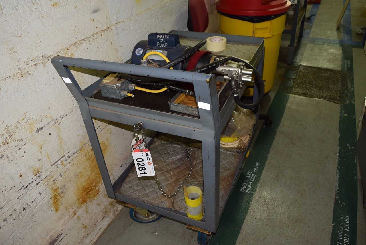 GEAR PUMP WITH LEESON C6C17FK4J 3/4 HP MOTOR WITH STEEL ROLLING CART - MISCELLANEOUS