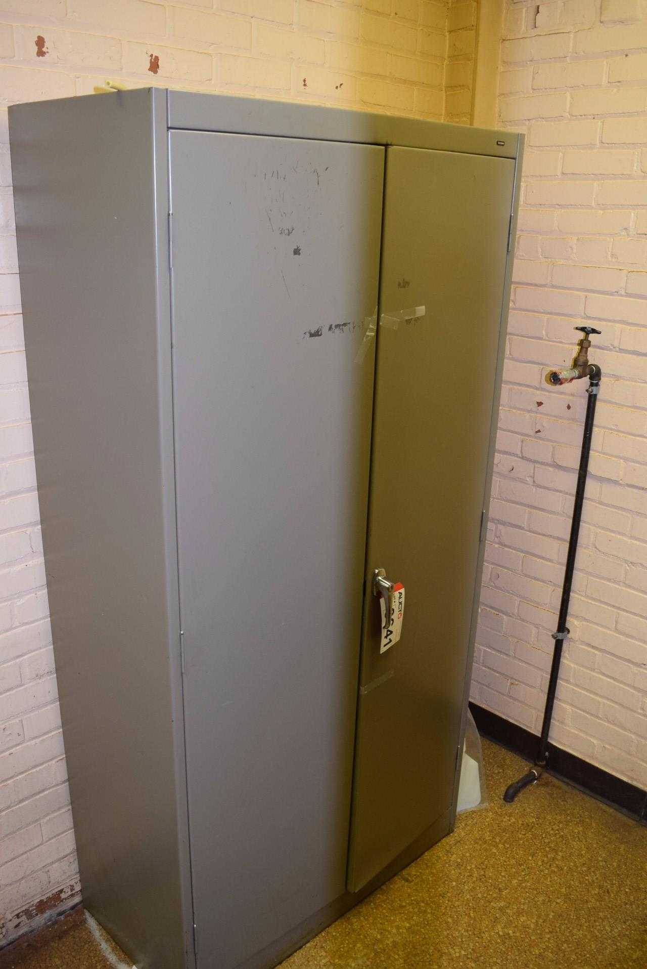 STEEL CABINET WITH CONTENT - LAB SUPPLIES - MISCELLANEOUS STEEL CABINET WITH CONTENT - LAB SUPPLIES - MISCELLANEOUS
