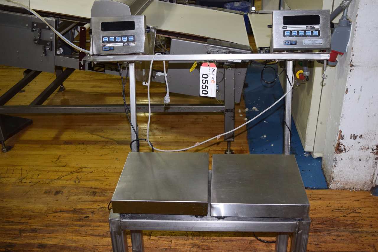LOT OF 2 GSE 450 PROGRAMMABLE WEIGH INDICATOR WITH SCALE - MISCELLANEOUS