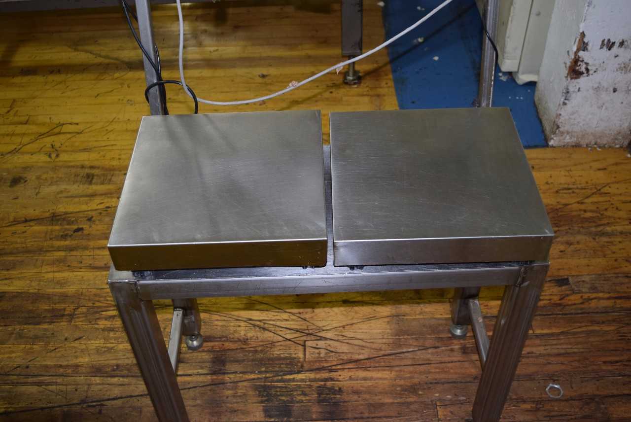 LOT OF 2 GSE 450 PROGRAMMABLE WEIGH INDICATOR WITH SCALE - MISCELLANEOUS