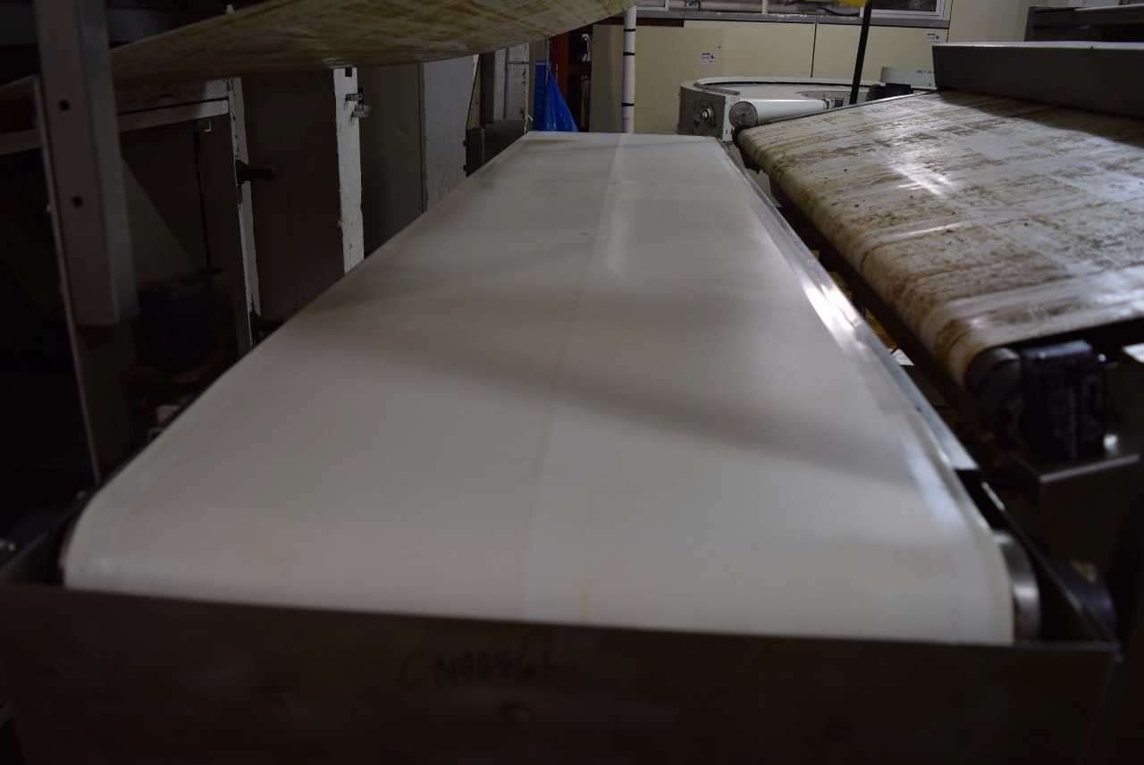 20" WIDE CONVEYOR SYSTEM WITH GEAR MOTOR, ~35 X 110 X 49" - MISCELLANEOUS