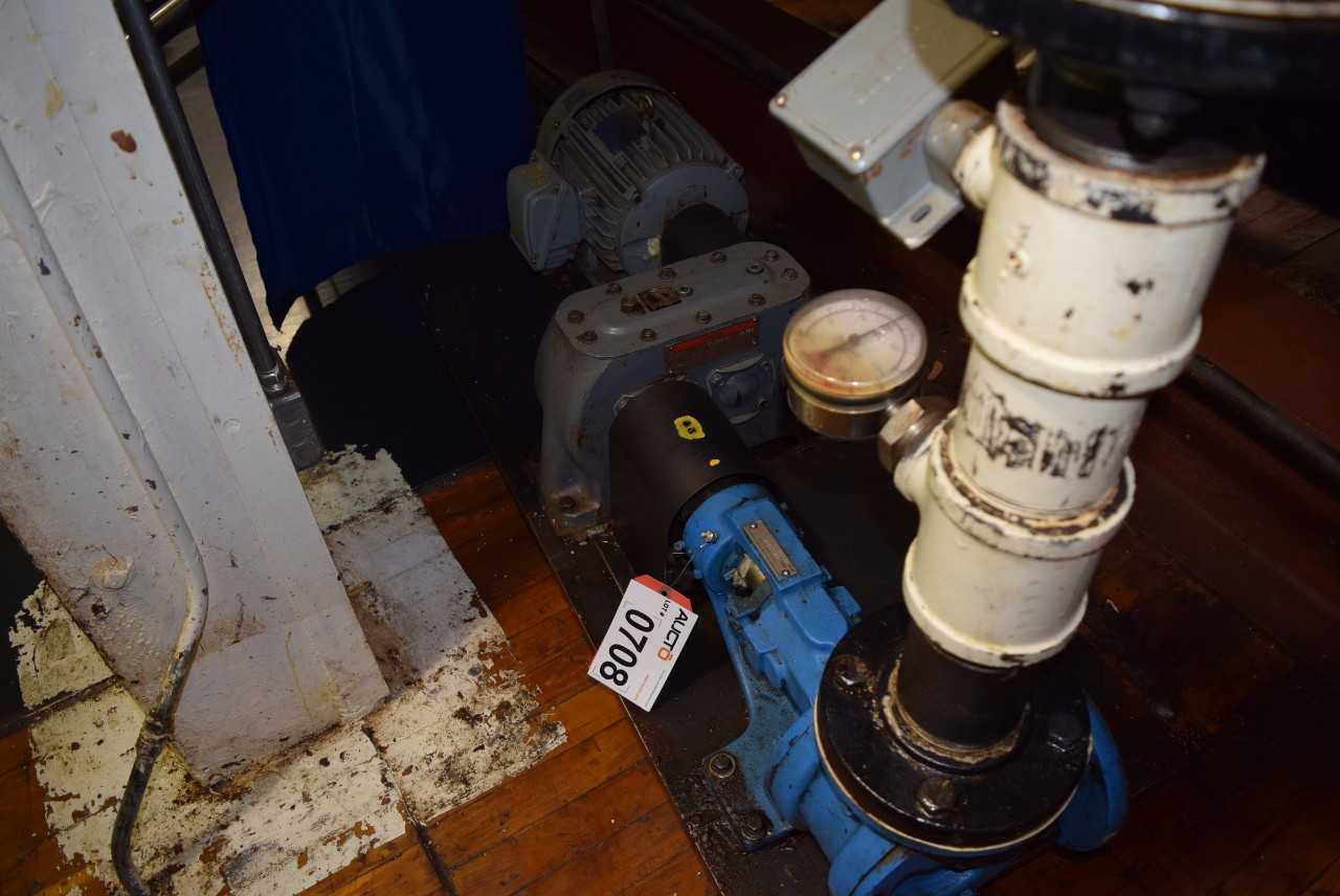 VIKING KK125 GEAR PUMP - MISCELLANEOUS