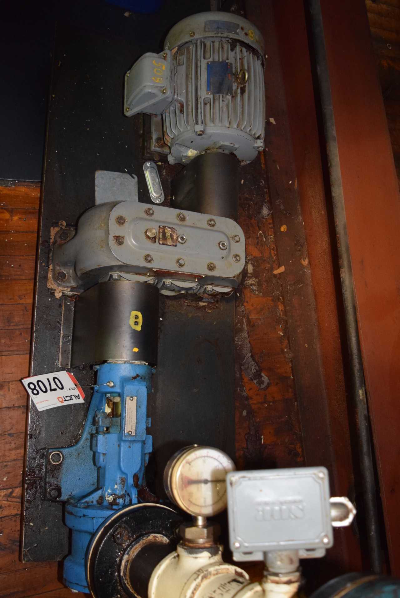 VIKING KK125 GEAR PUMP - MISCELLANEOUS