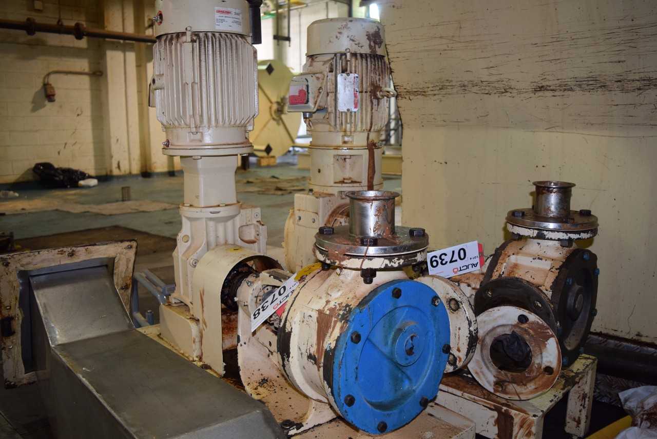 VIKING LL125 GEAR PUMP WITH RELIANCE 5 HP GEAR MOTOR - MISCELLANEOUS