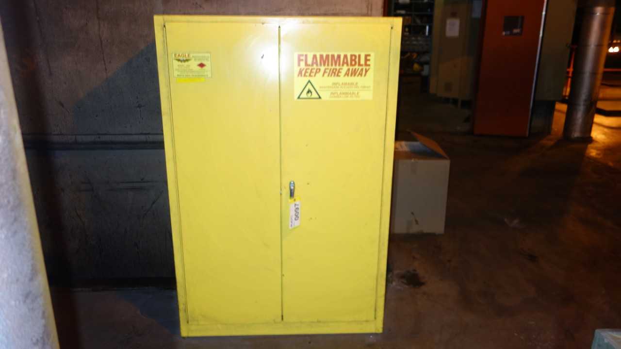 EAGLE 1947 45 GAL FLAMMABLE SAFETY STORAGE CABINET - TOOL STORAGE
