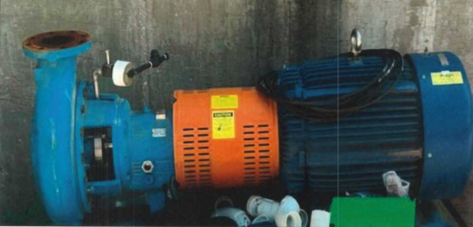 Goulds 3196 Pump & Motor - quantity 2 - PUMPS