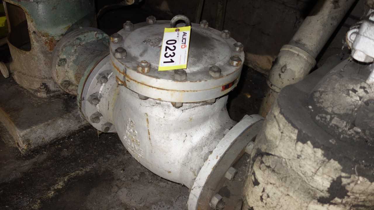 CRANE 147XU 10IN 150 STEEL CHECK VALVE - CHECK VALVE