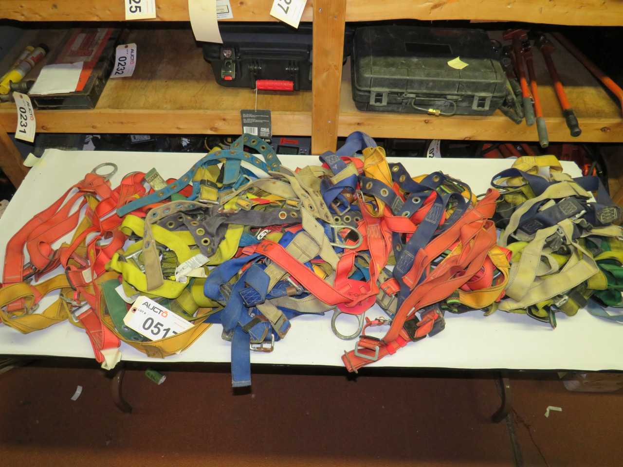 LOT OF HARNESSES - SAFETY SWITCH