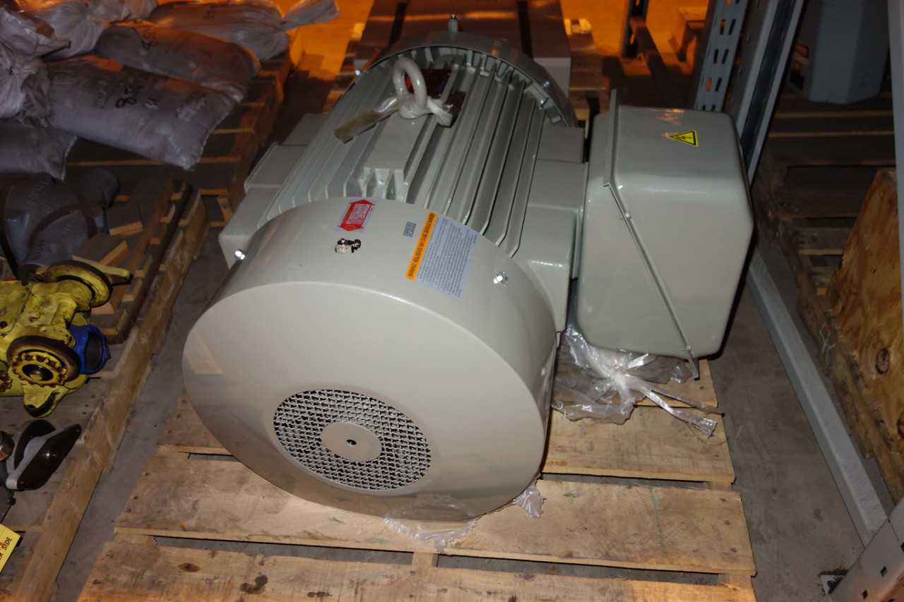 TATUNG 405T 100HP SUPER-MAX AC MOTOR - ELECTRIC MOTORS