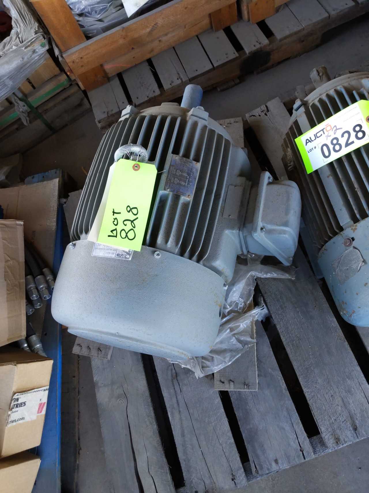Lot of 2 Electric Motors Teco, Leeson - ELECTRIC MOTORS