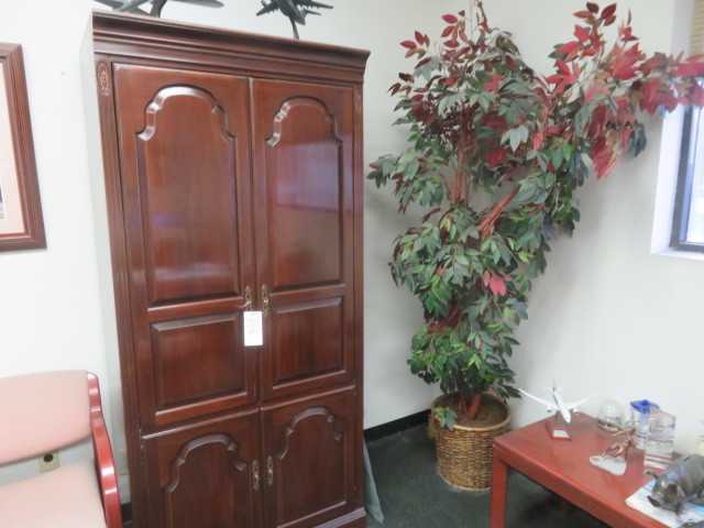 Cabinet, table and faux plant in pictures - MISCELLANEOUS