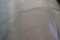 Fisher 50ml 1-1/2 oz Polypropylene Disposable Beakers: 100/pack, 01-291-10, NEW! - LAB & SCIENTIFIC