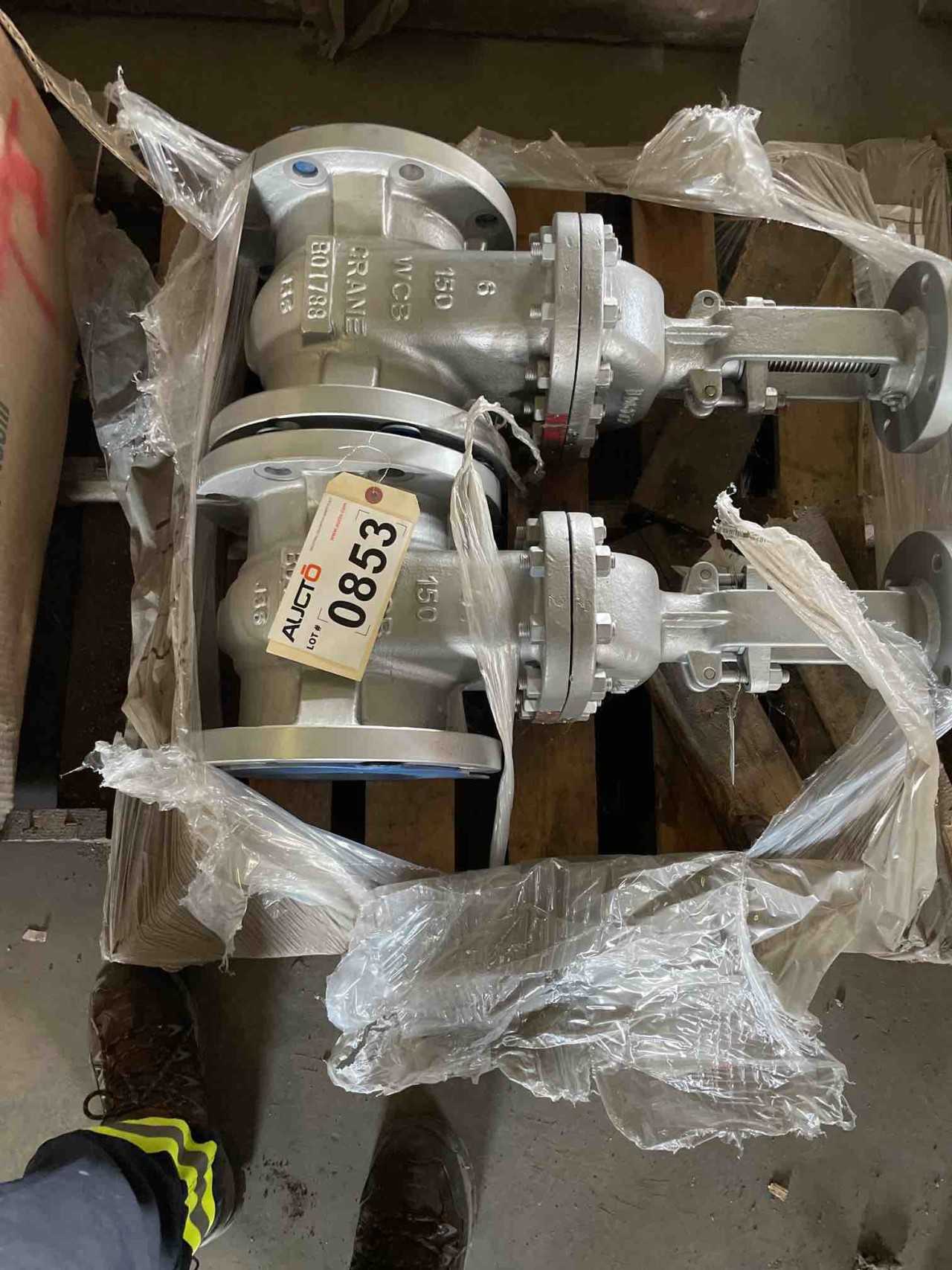 LOT OF 2 GATE VALVES B01788 - VALVES LOT OF 2 GATE VALVES B01788 - VALVES