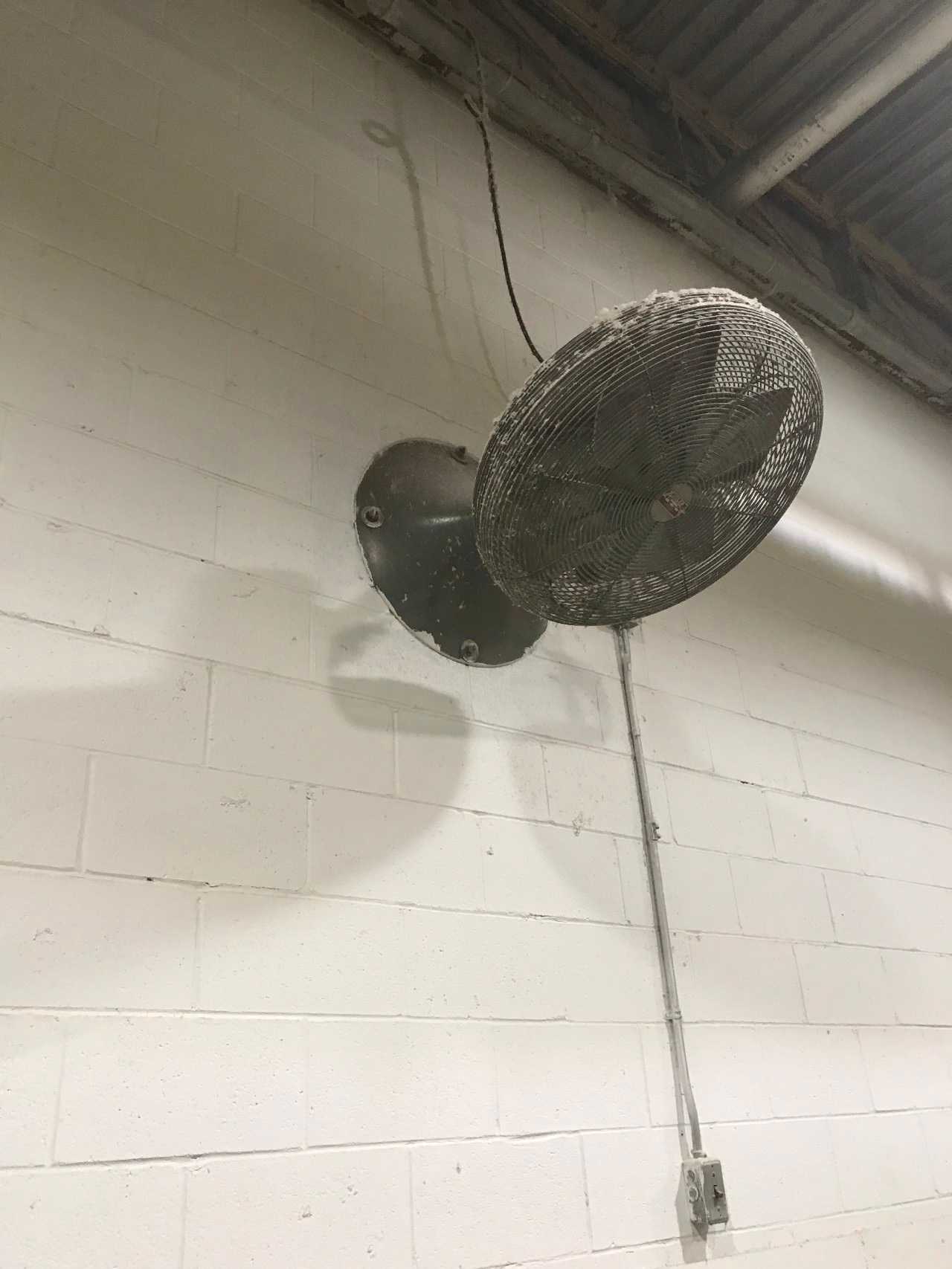 lot of 5 Wall Mounted Fans  - MISCELLANEOUS