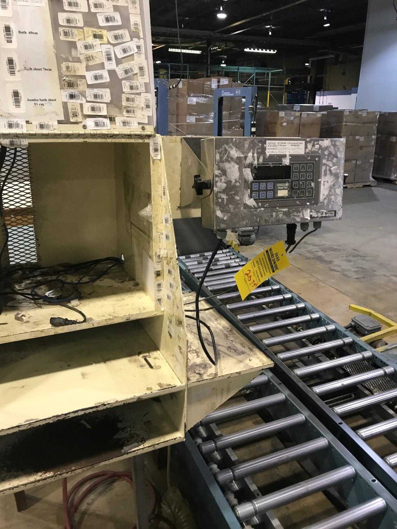 Inline Roller conveyor  Scale - MISCELLANEOUS
