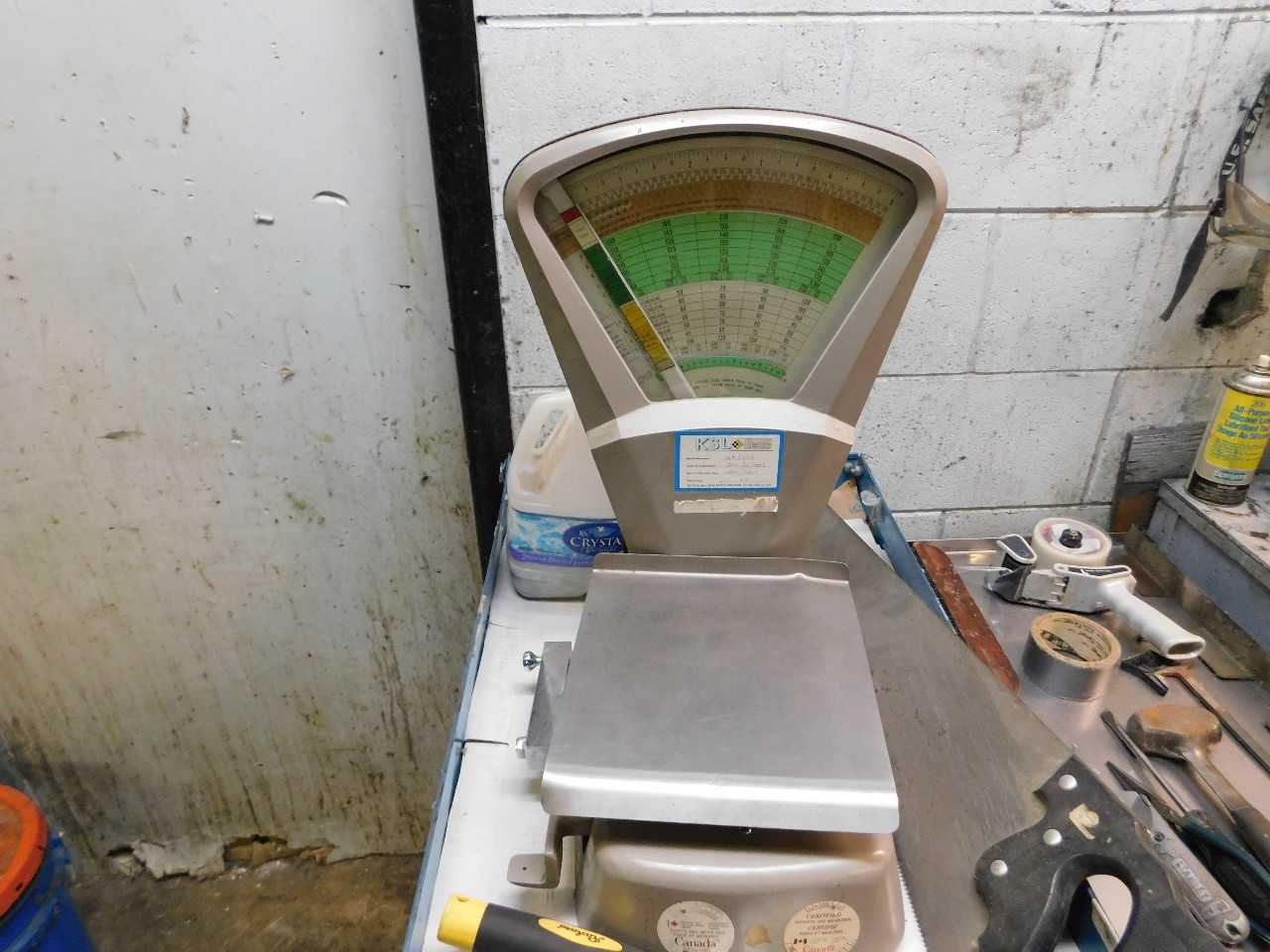 Scale 5 LB Cap - SCALES