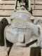 Fisher Controls EZ667DVC6200 Globe Valve - GLOBE VALVE