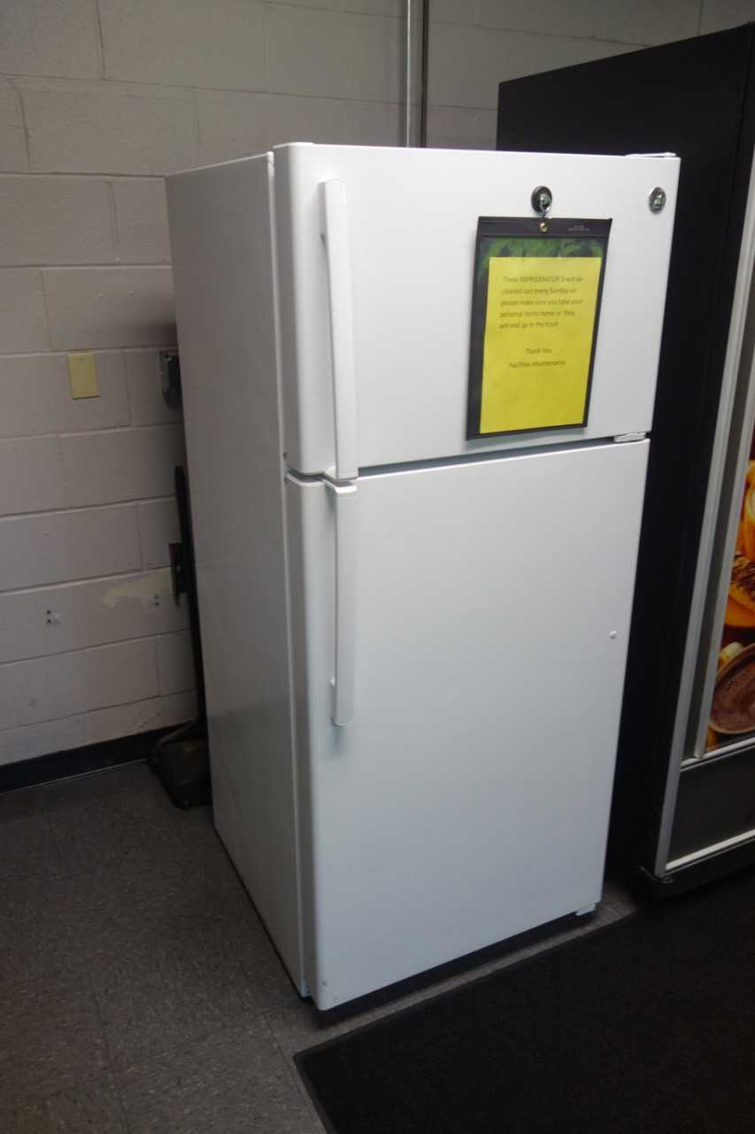 GE GTS16DTHMRWW 15.5 Cu. Ft. top-freezer refrigerator (DELAYED REMOVAL) - PROCESS EQUIPMENT