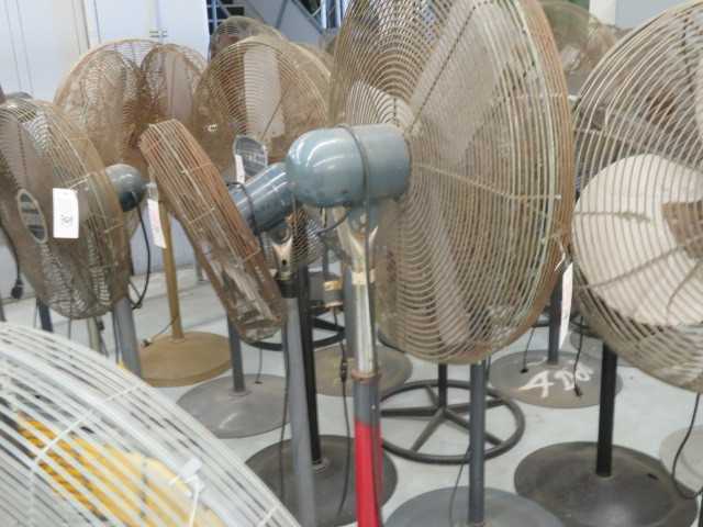 Fan - MISCELLANEOUS