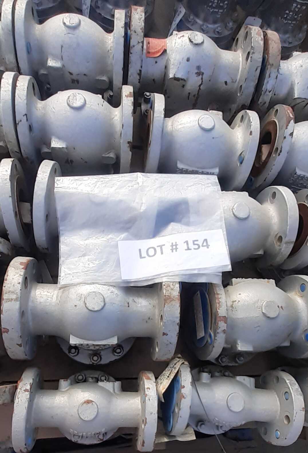 Lot of 19 Check Valves - CHECK VALVE