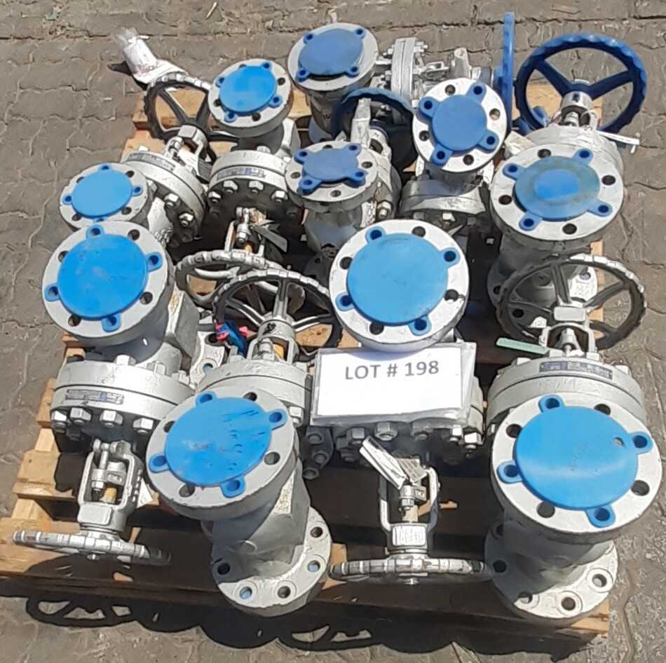 Lot of 12 Gate valves & Check Valves - CHECK VALVE