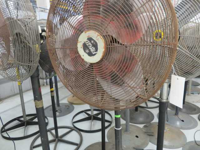 Fan - MISCELLANEOUS