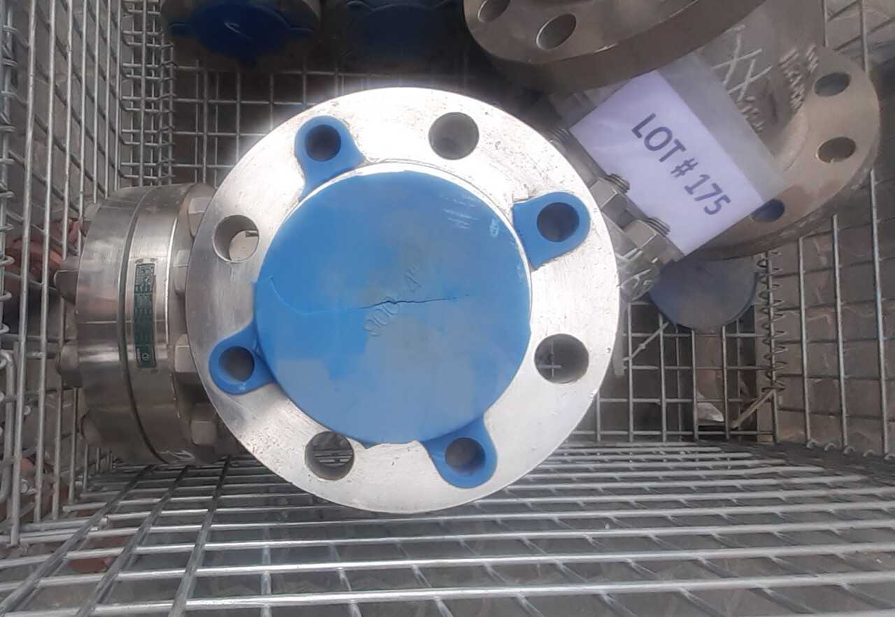 Lot of 2 Check Valves - CHECK VALVE