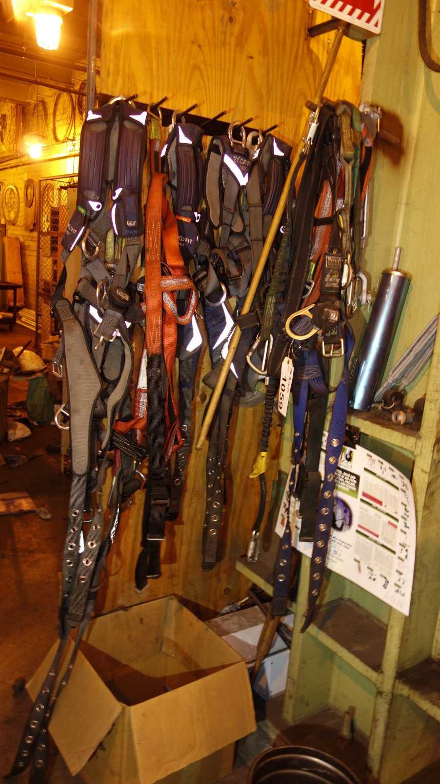 LOT OF ASSORTED SAFETY HARNESSES - SAFETY EQUIPMENT