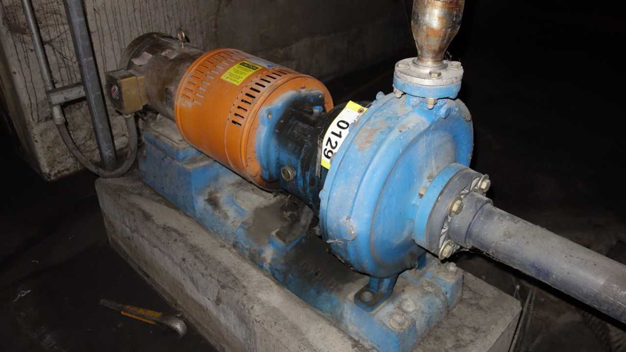 GOULDS 3196 MTX 1.50X30-13 STAINLESS CENTRIFUGAL PUMP MOTOR - CENTRIFUGAL PUMP