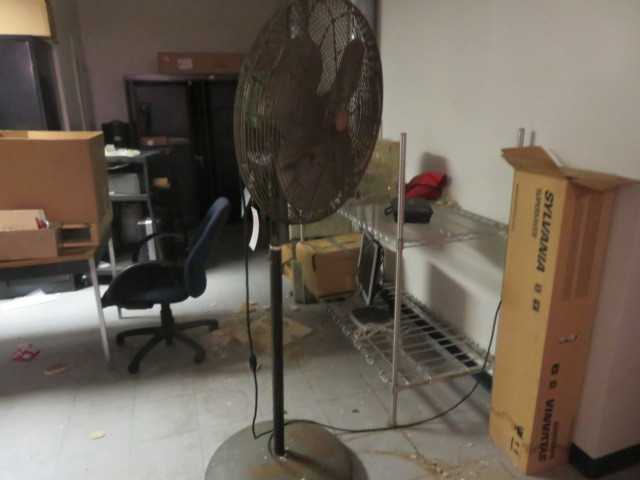 Fan - MISCELLANEOUS