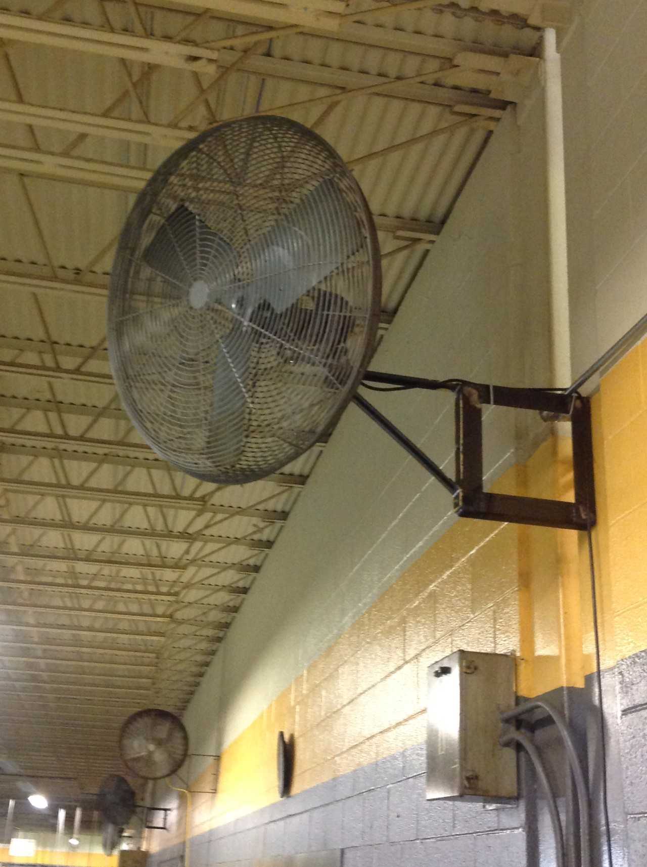 Lot of (8) Wall mounted Fans - PLANT & FACILITY