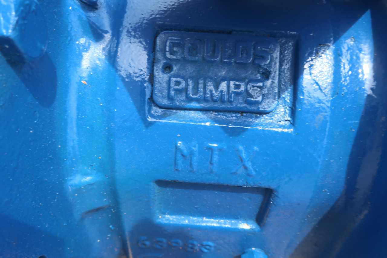 GOULDS MTX PUMP - PUMPS