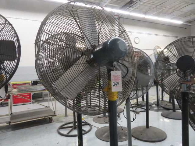 Fan - MISCELLANEOUS