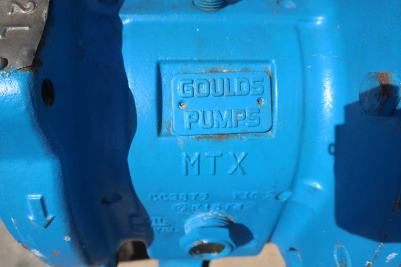 GOULDS MTX PUMP - PUMPS