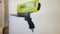 BLUE POINT PSB-100 GRAVITY FEED HAND HELD SANDBLASTER - PNEUMATIC POWER TOOL