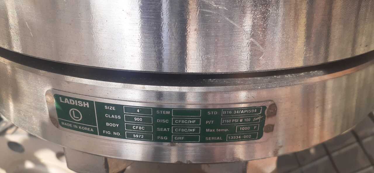 Lot of 2 Check Valves - CHECK VALVE