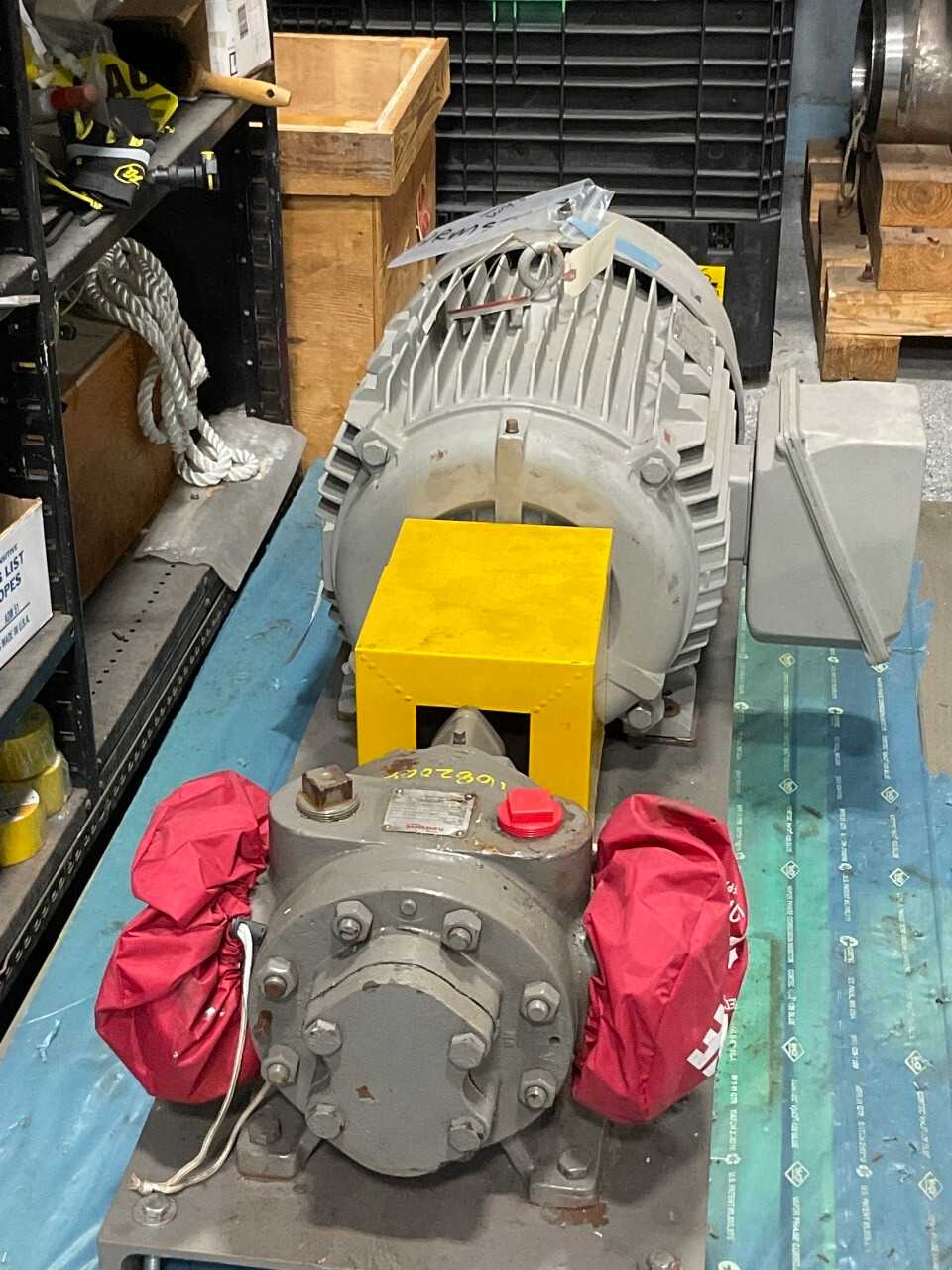 Siemens Motor and Flowserve Pump - PUMPS