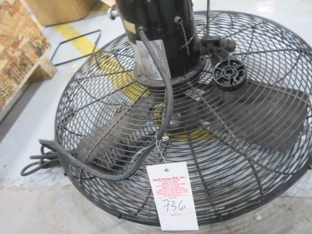 Fan - MISCELLANEOUS