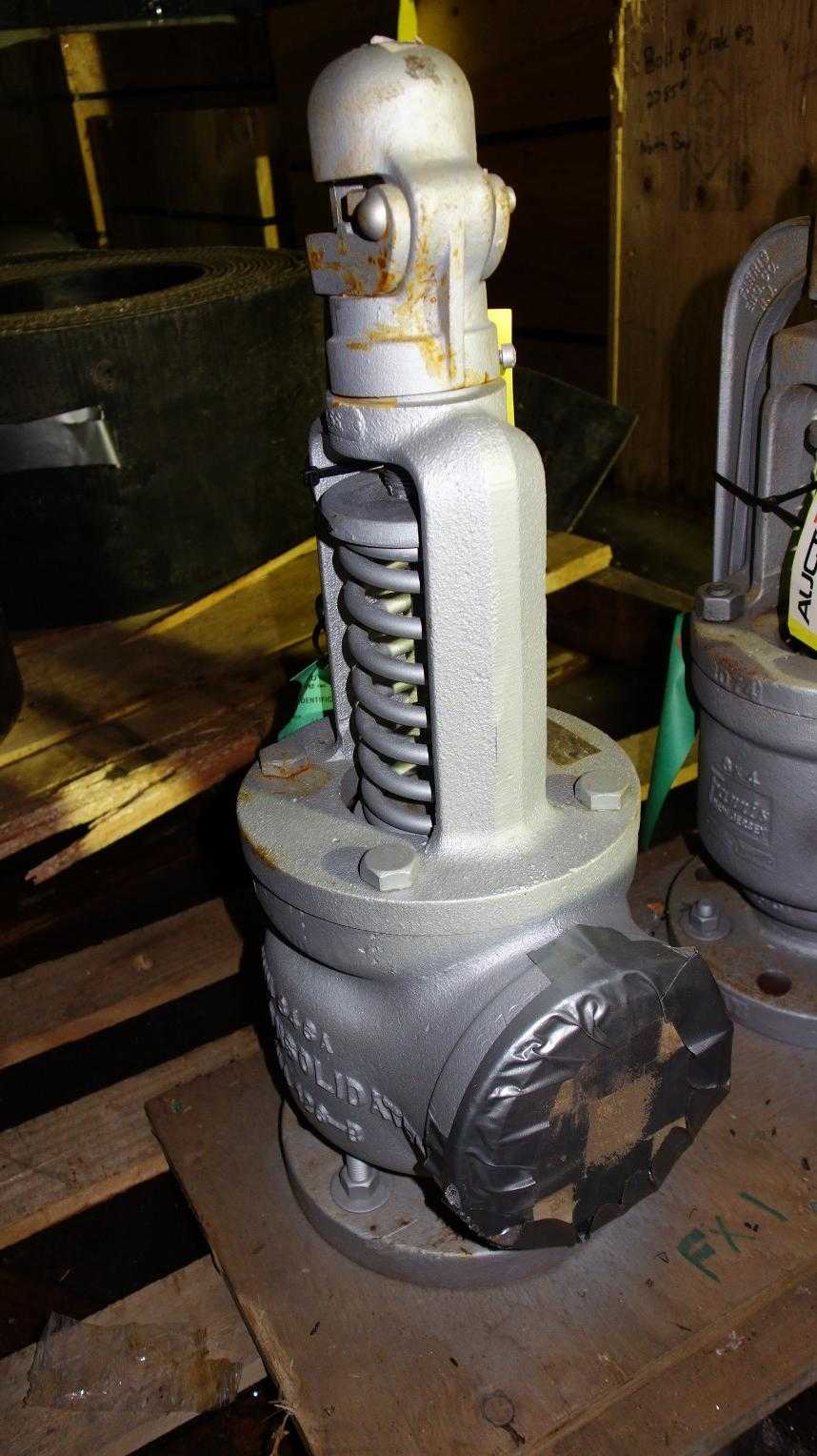 NEW CONSOLIDATED 1511M 3IN 30PSI STEEL PRESSURE RELIEF VALVE - RELIEF VALVE