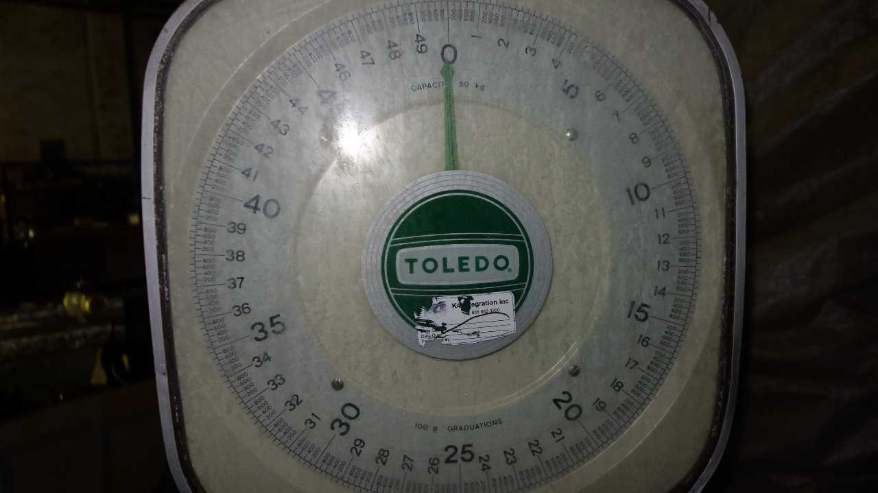TOLEDO 2020 100LB MANUAL SCALE - SCALES