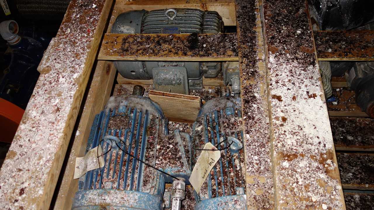 2 CRATES OF ASSORTED AC ELECTRIC MOTORS 5-15HP (APPROX. 20 MOTORS) - ELECTRIC MOTORS