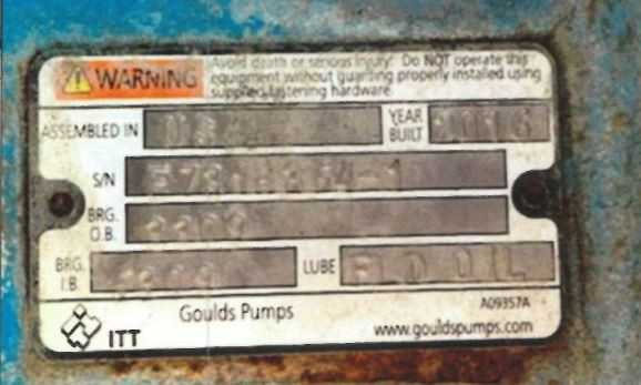 Goulds 3196 Pump & Motor - quantity 2 - PUMPS