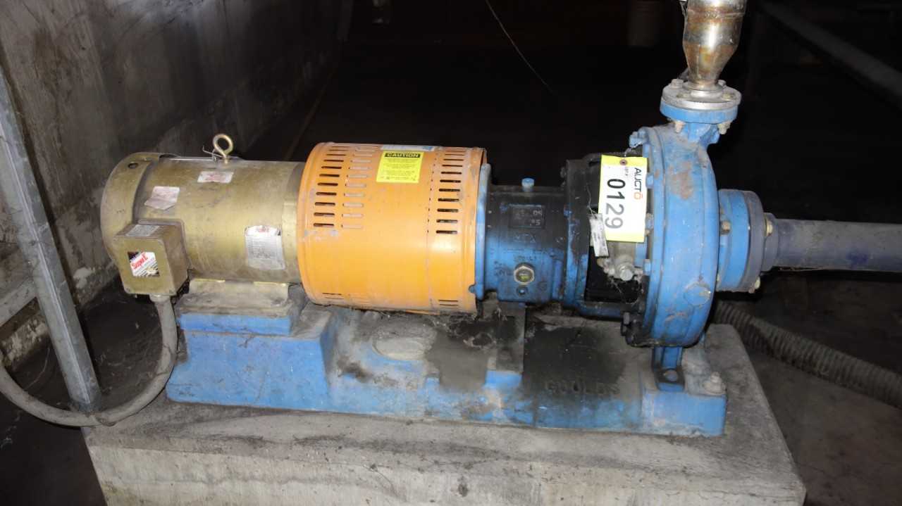 GOULDS 3196 MTX 1.50X30-13 STAINLESS CENTRIFUGAL PUMP MOTOR - CENTRIFUGAL PUMP