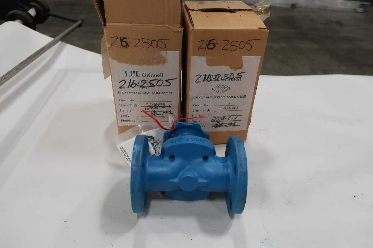 LOT OF 2 ITT GRINNELL 1IN DIAPHRAGM VALVES 2538-2-V - DIAPHRAGM VALVE