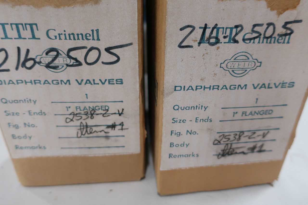 LOT OF 2 ITT GRINNELL 1IN DIAPHRAGM VALVES 2538-2-V - DIAPHRAGM VALVE
