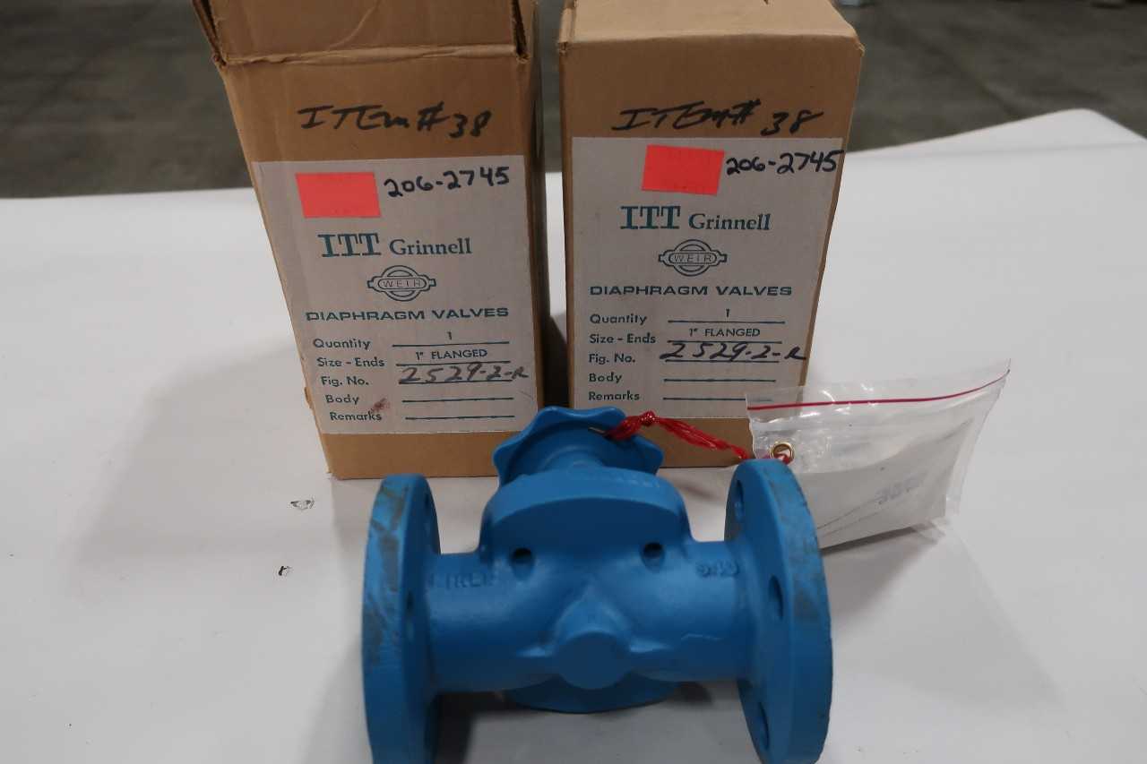LOT OF 2 ITT GRINNELL 1IN DIAPHRAGM VALVES 2529-2-R - DIAPHRAGM VALVE