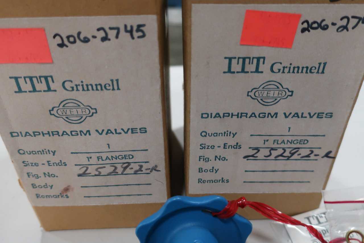 LOT OF 2 ITT GRINNELL 1IN DIAPHRAGM VALVES 2529-2-R - DIAPHRAGM VALVE